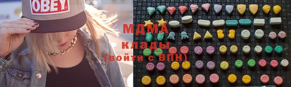 молекула духа Вяземский